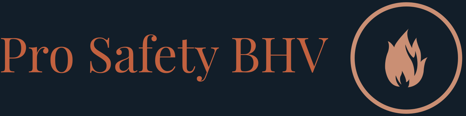 Logo Pro Safety BHV